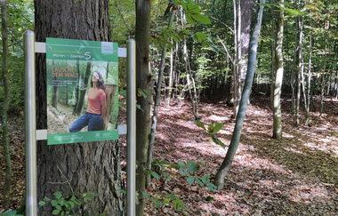 Waldbadepfad Assamstadt | © Liebliches Taubertal