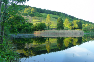 Wälder, Weiher, Weinplateau in Oberderdingen | © Land der 1000 Hügel - Kraichgau-Stromberg
