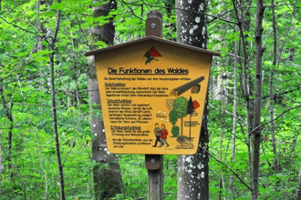 Walderlebnispfad Niederstetten | © Liebliches Taubertal