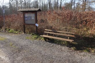 Waldpark-Rundkurs klein | © Outdooractive Redaktion