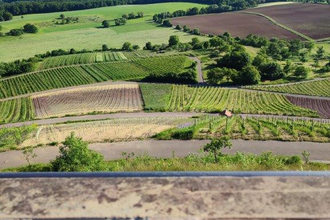 Wandern wo der König wächst | © Gemeinde Sternenfels