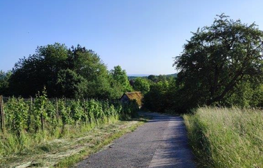 Wandern wo der König wächst | © Gemeinde Sternenfelss