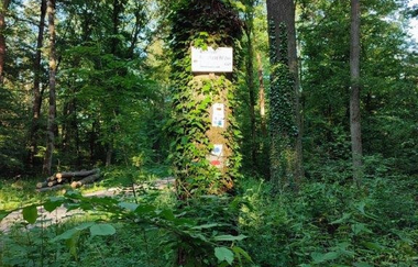 Wandern wo der König wächst | © Gemeinde Sternenfels