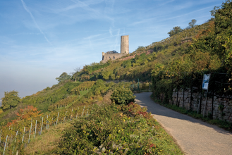 Wanderung von Dossenheim nach Schriesheim | © Landratsamt Rhein-Neckar-Kreis
