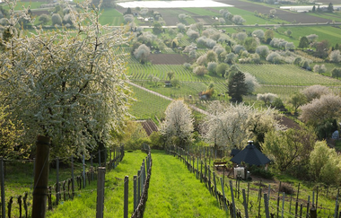 Wanderung von Dossenheim nach Schriesheim | © Landratsamt Rhein-Neckar-Kreis
