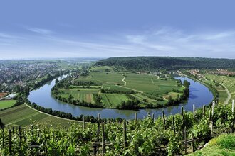 Wein- und Obstwanderweg (Tour 2): Käsberg Höhenweg | © Gemeinde Mundelsheim