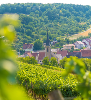 Wein-Radreise 4. Etappe: Gesundheit und Wein | © Liebliches Taubertal