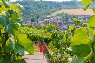Wein-Radreise 5. Etappe: Wein im Rotsandstein | © Liebliches Taubertal