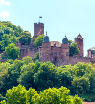 Wein-Radreise 7. Etappe: Zu den Mainburgen | © Liebliches Taubertal