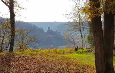 Wein-Radreise 7. Etappe: Zu den Mainburgen | © Unbekannt