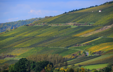 Wein-Radreise Taubertal | © Liebliches Taubertal