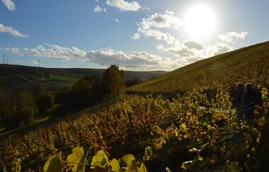 Weinlehrpfad Röttingen