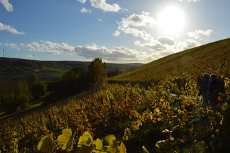 Weinlehrpfad Röttingen