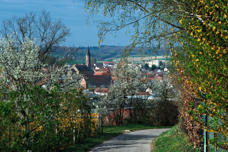 Weinpfad Kraichgau | © Stadtverwaltung Kraichtal
