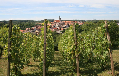 Weinpfad Kraichgau | © Foto von Marcel Hasübert