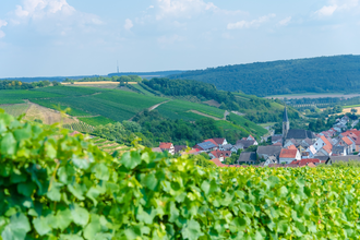 Weinstraße Taubertal | © Liebliches Taubertal