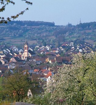 Weinwanderweg Kraichtal IVV- Besenhex (Kurz- und Langroute) | © Stadtmarketing Kraichtal