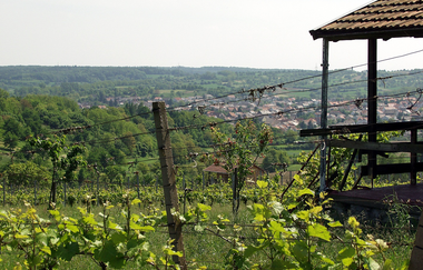 Weinwanderweg Kraichtal IVV- Besenhex (Kurz- und Langroute) | © Stadtmarketing Kraichtal