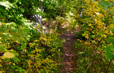 Wengertschützenrunde zum Sandberg und Schloßberg | © Land der 1000 Hügel - Kraichgau-Stromberg