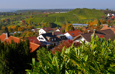 Wengertschützenrunde zum Sandberg und Schloßberg | © Land der 1000 Hügel - Kraichgau-Stromberg