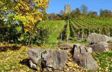 Wengertschützenrunde zum Sandberg und Schloßberg | © Land der 1000 Hügel - Kraichgau-Stromberg