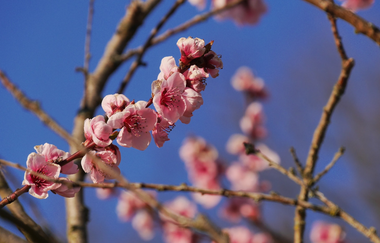 Wo der "Wilde Fritz" haust und der "König" thront | © Land der 1000 Hügel - Kraichgau-Stromberg