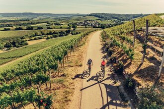 Weinsüden Weinort Brackenheim am Württemberger Weinradweg | HeilbronnerLand | © Touristikgemeinschaft HeilbronnerLand