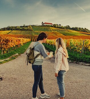 Unterwegs am Michaelsberg | Cleebronn | © Touristikgemeinschaft HeilbronnerLand e.V.