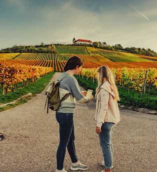 Unterwegs am Michaelsberg | Cleebronn | © Touristikgemeinschaft HeilbronnerLand e.V.