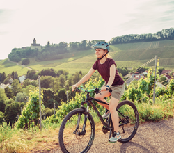 Radfahrerin am Schöllkopf in Brackenheim am Württemberger Weinradweg | © Touristikgemeinschaft HeilbronnerLand e.V.