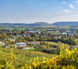 Rund im Eibensbach | Blick auf Güglingen | © Stadt Güglingen