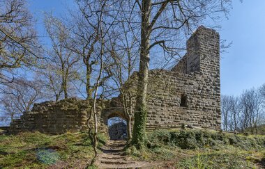 DSGVO NZT Güglingen Burgruine Blankenhorn Eibensbach WEB | © faktorzwei GmbH