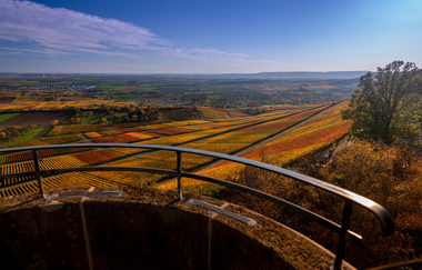 Ausblick von der  Heuchelberger Warte | Leingarten | HeilbronnerLand | © Touristikgemeinschaft HeilbronnerLand