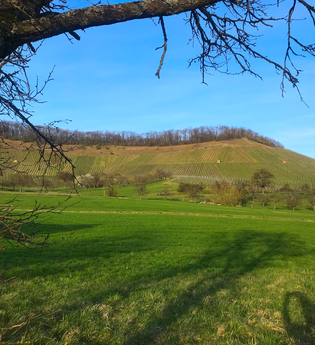 Zu Metter und Burrain | © Land der 1000 Hügel - Kraichgau-Stromberg