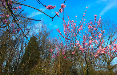 Zu Metter und Burrain | © Land der 1000 Hügel - Kraichgau-Stromberg
