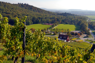 Zum Aussichtspunkt Sandberg | © Land der 1000 Hügel - Kraichgau-Stromberg
