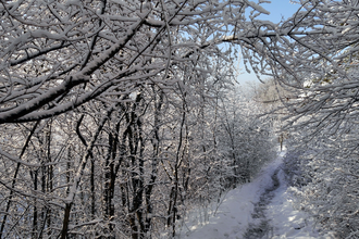 Zur Blankenhorn und nach Tripsdrill (Stromberg - Schwäbischer Wald) | © Land der 1000 Hügel - Kraichgau-Stromberg