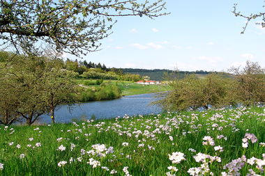 Ehmetsklinge mit Blumenwiese | © Naturpark Stromberg-Heuchelberg