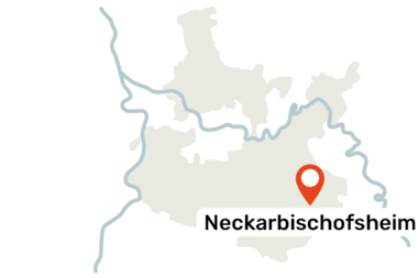 Karte des Rhein-Neckar-Kreises mit dem markierten Ort Neckarbischofsheim | © Landratsamt Rhein-Neckar-Kreis