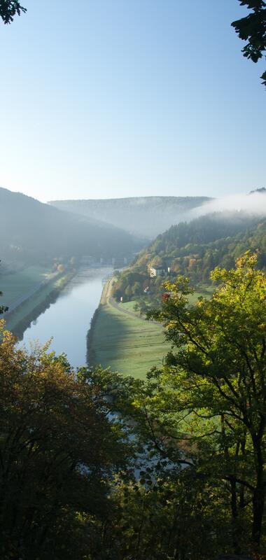 Blick auf das Neckartal bei Eberbach mit Fluss, bewaldeten Hügeln und Nebel in der Ferne, eingerahmt von Baumkronen im Vordergrund | © Ladratsamt Rhein-Neckar-Kreis