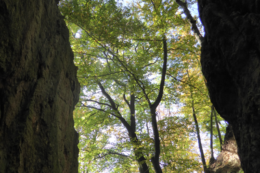 Blick von einem schmalen Felsspalt auf Bäume und Himmel über der Ursenbacher Höhe | © Landratsamt Rhein-Neckar-Kreis