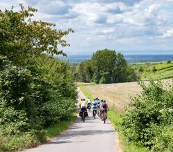 Gruppe von Radfahrern auf einem schmalen Weg zwischen Feldern und Büschen mit Blick auf eine weite Landschaft unter bewölktem Himmel | © Landratsamt Rhein-Neckar-Kreis; Foto Dorothea Burkhardt