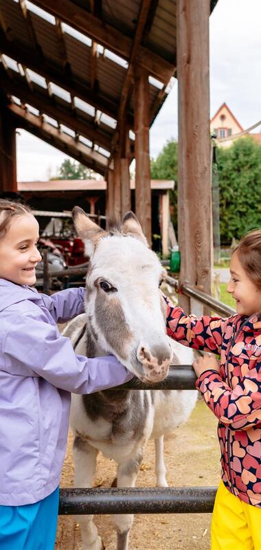 Zwei Kinder streicheln einen Esel in einem offenen Stall mit einem weiteren Esel im Hintergrund. | © Landratsamt Rhein-Neckar-Kreis; Foto Sebastian Weindel