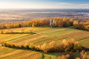 Luftaufnahme einer Kirche auf einem Hügel umgeben von herbstlich gefärbten Bäumen und landwirtschaftlichen Feldern im Kraichgau | © Landratsamt Rhein-Neckar-Kreis; Foto Sebastian Weindel
