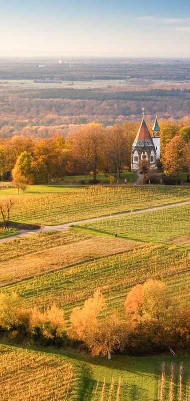 Luftaufnahme einer Kirche auf einem Hügel umgeben von herbstlich gefärbten Bäumen und landwirtschaftlichen Feldern im Kraichgau | © Landratsamt Rhein-Neckar-Kreis; Foto Sebastian Weindel