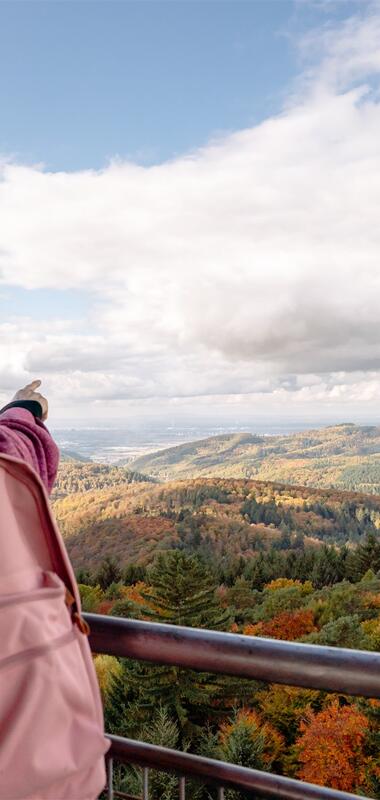 Zwei Personen auf einem Aussichtsturm blicken auf eine herbstliche Waldlandschaft, eine Person zeigt in die Ferne. | © Landratsamt Rhein-Neckar-Kreis; Foto Sebastian Weindel